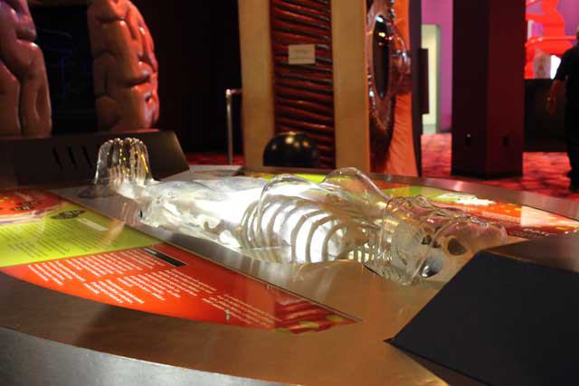 The Health Museum